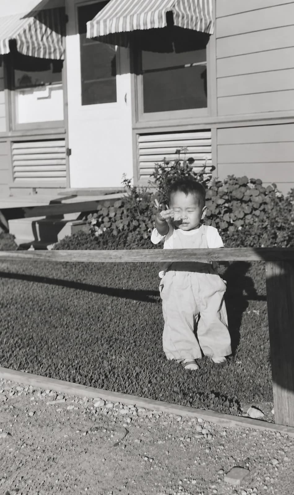 Enhance: black-and-white snapshot of a toddler in overalls behind a wooden fence, mounted with photo corners